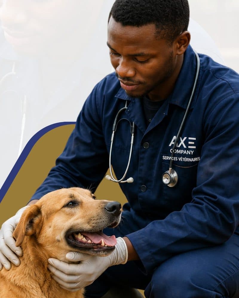 Vétérinaire d’AXE COMPANY en tenue de travail examinant un chien